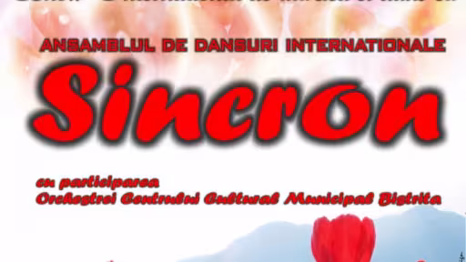 sincron17.03.2013.jpg