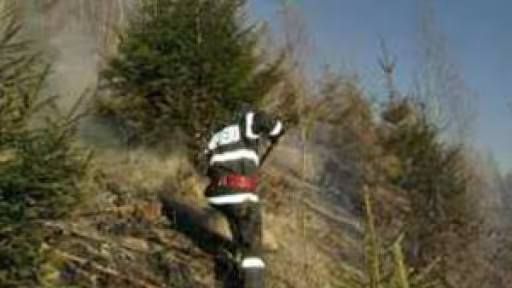incendiu.jpg