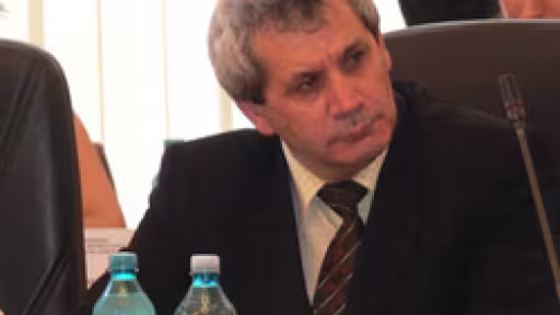 nicolaemariantop.jpg