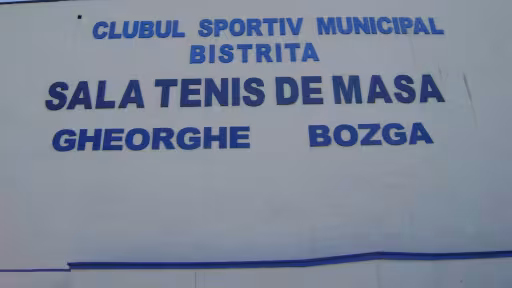 tenis.jpg