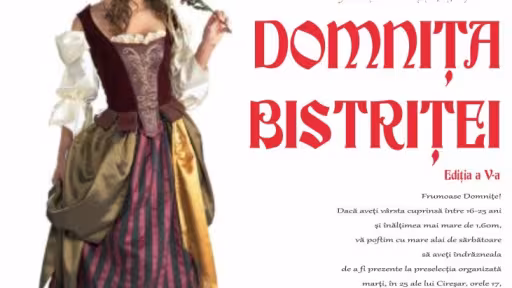 afisdomnitabistritei2013.jpg