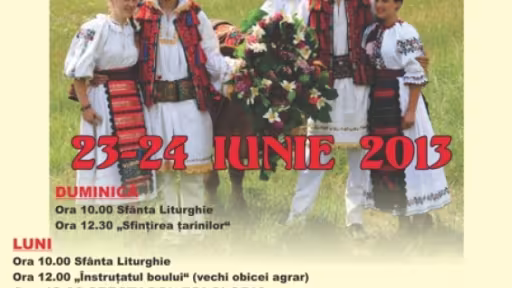 smaafiscaianului2013.jpg