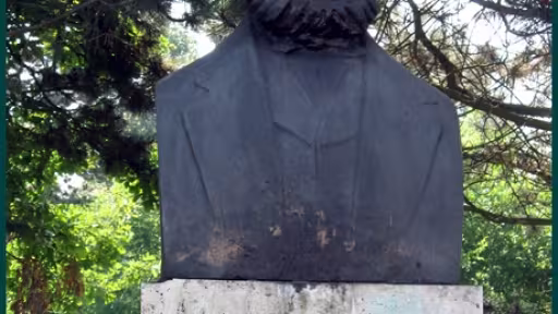 campialibertatii-andreimuresanu.jpg