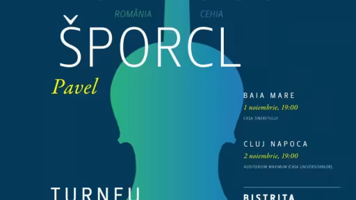 tomescu-sporclbistrita50x70cm.jpg