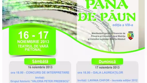 afispanadepaun2013bun.jpg