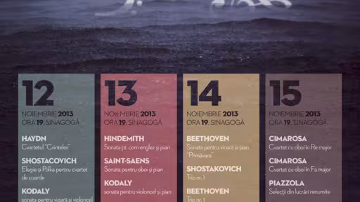 posternoiembriemuzical2013web.jpg