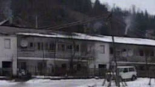 colonie.jpg