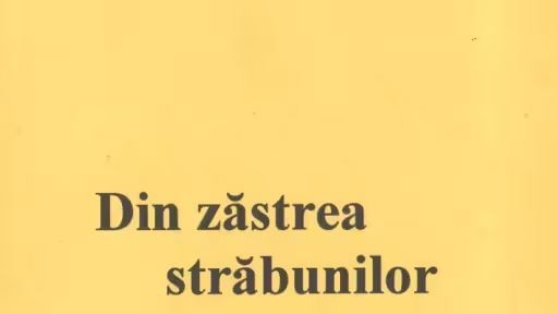 cxx.jpg