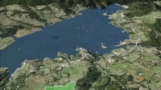 colibita.jpg