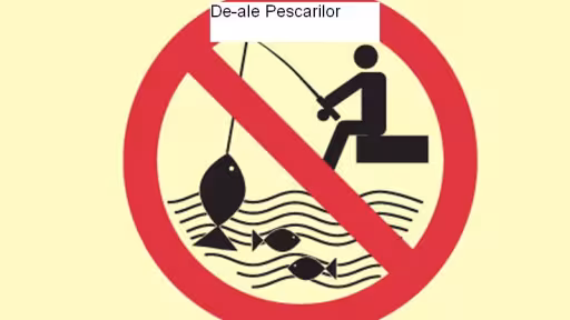 nofishing1.jpg