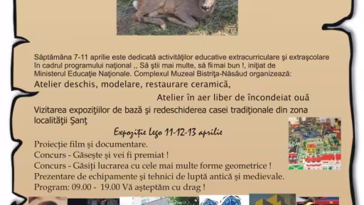 afisscoalaaltfel1.jpg