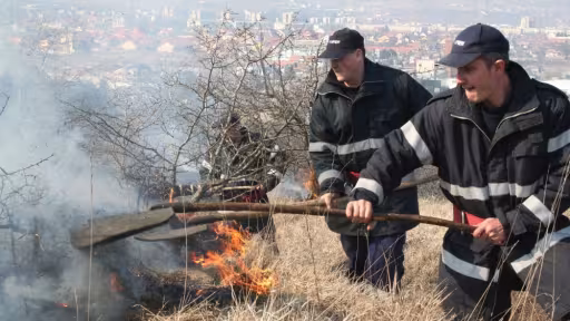 incendiuvegetatie.jpg