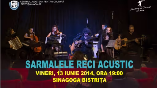 concertsarmalelereciacustic1.jpg