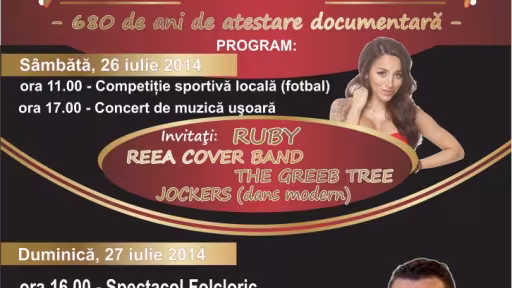 afistarlisua20141.jpg