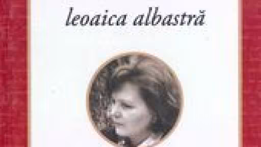 mariana-pandaruleoaica-albastra-130.jpg