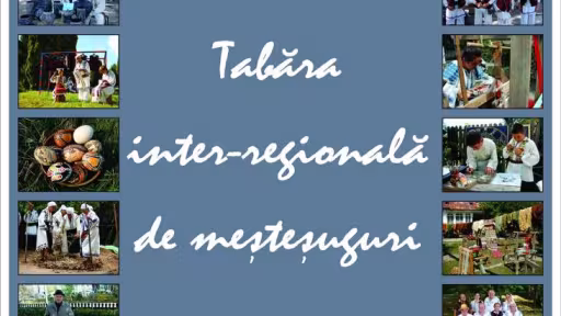 afistabarainter-regionalademestesuguri2014.jpg