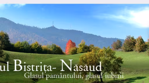 visitbn.ro.jpg