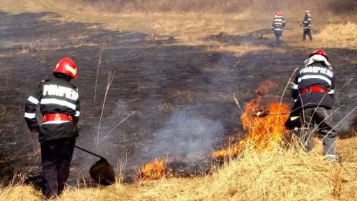 incendiu-teren.jpg