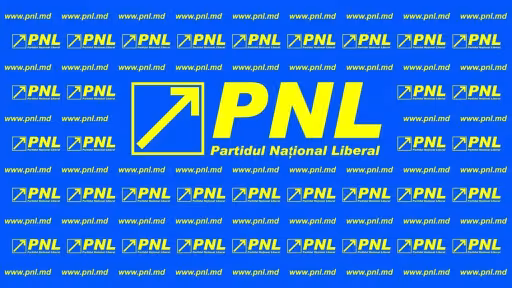 pnl2222.jpg