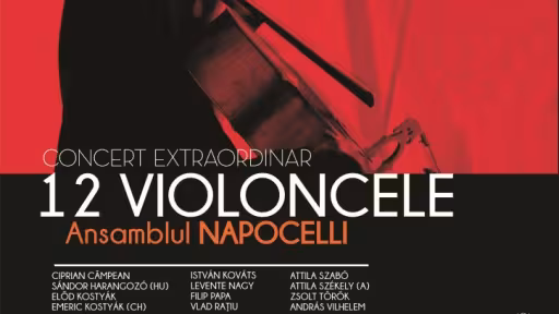 afis12violoncele23octombrie2014.jpg