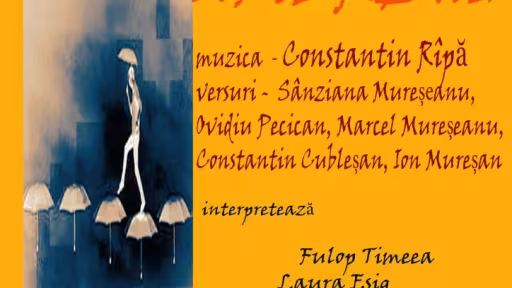 afis-bistrita-micsorat.jpg