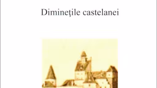diminetilecastelanei.jpg