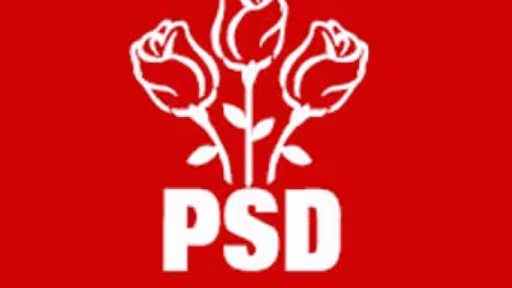psd.jpg