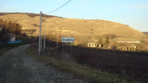 robnsopteriu1.1.jpg