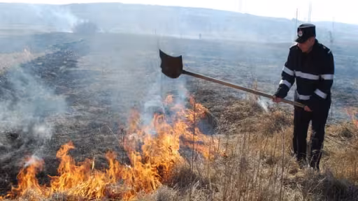 incendiu-vegetatie.jpg