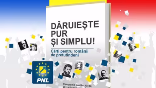 daruiestepursisimplu.jpeg