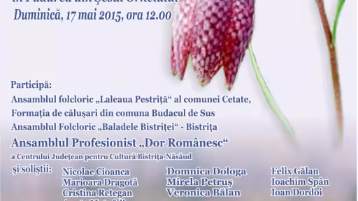 afislaleaua2015.jpg
