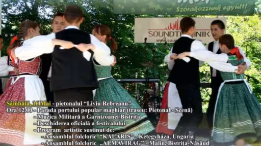 afismaialunguresc2015.jpg