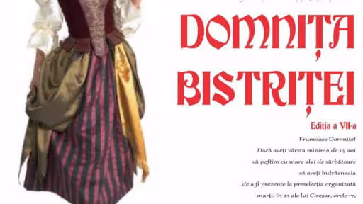 afisdomnitabistritei2015.jpg