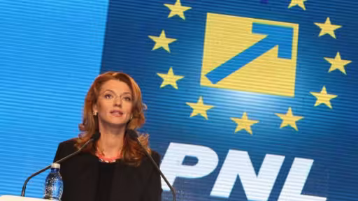 alina-gorghiu-fb-pnl.jpg