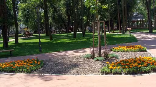 parc.jpg