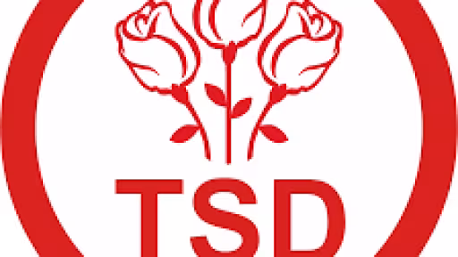 tsd.png