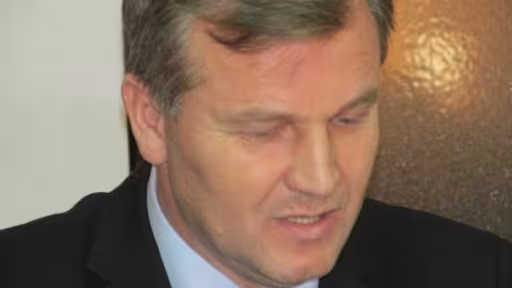 steliandolha.jpg