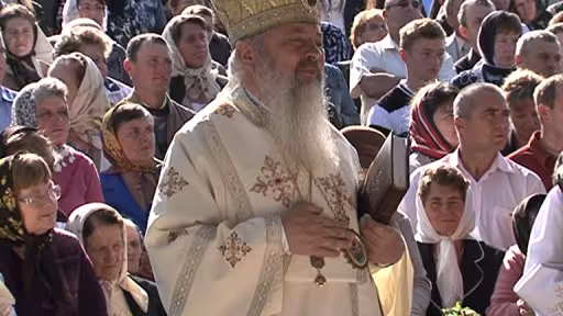 mitro.png