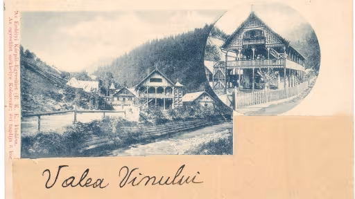 vavi1908.jpg