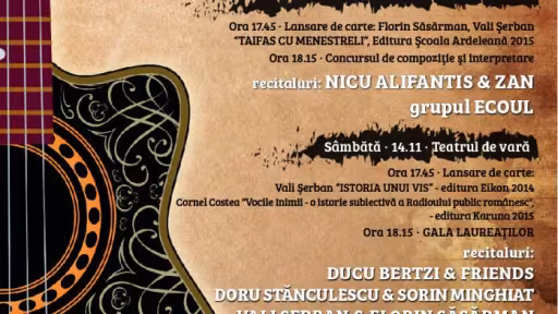 afisbistritafolk2015.jpg