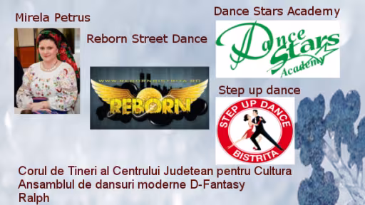 afisfinal2.png