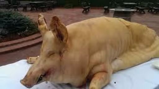 porc.jpg