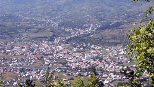 oraslsingeorz-bai6890.jpg
