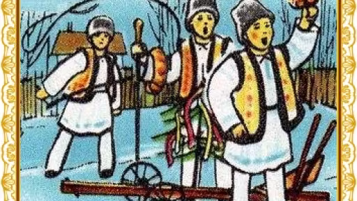 uratura-plugusorul-romanesc.jpg