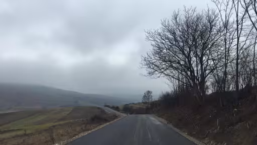 12314126190682817941959335542650030298296n.jpg