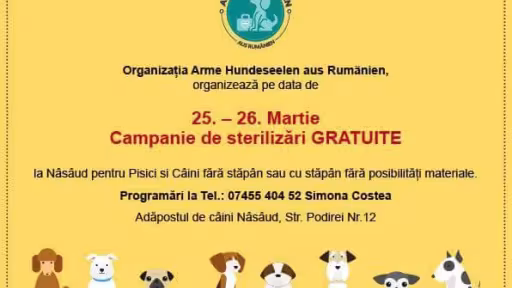 castrarecainisipisiciorasnasaud.jpg