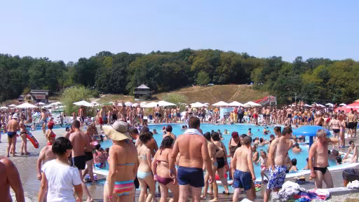 baifiga2.jpg