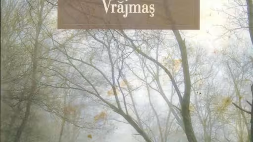 liviu-ioan-stoiciuvrajmas973-46-4832-0-785334268565.jpg