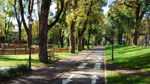 duminica-parcul-municipal-promenada-inimilor1380287615.jpg
