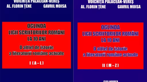 oglindaiii.jpg